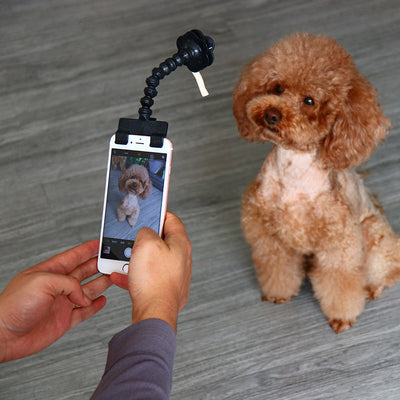 Pet Selfie Stick Pet Supplies Toys Pet Selfie Artifact