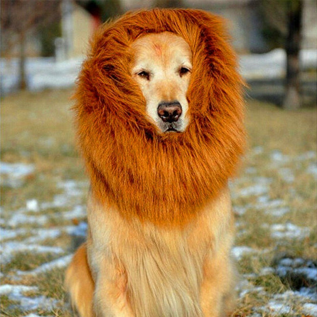 Lion Mane Wig for Large Dogs