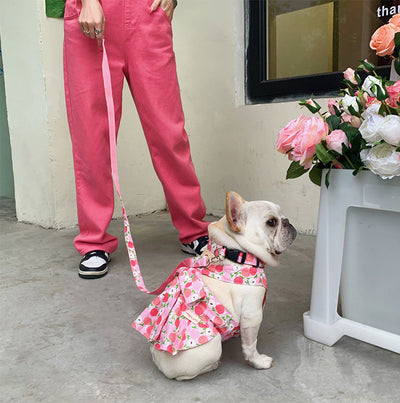 Dog Universal Cotton Blue And White Skirt Holding Hand Rope